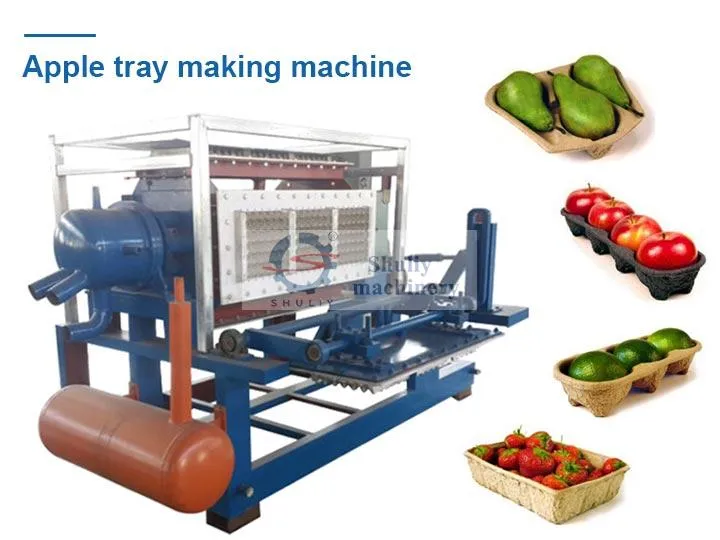 Paper Pulp Molding Machine