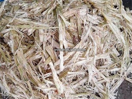 Fibra de cana-de-açúcar